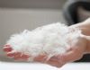 white down feathers wholesale